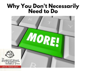 Why You Don't Necessarily Need to Do More: The Homeschool Sanity Show podcast