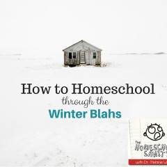 How to Homeschool Through the Winter Blahs