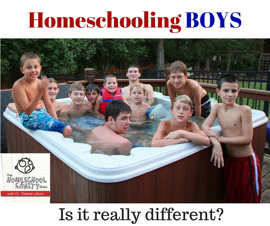 Homeschooling BOYS: Is it really different? The Homeschool Sanity Show