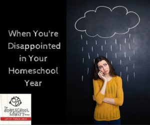 When You're Disappointed in Your Homeschool Year: The Homeschool Sanity Show