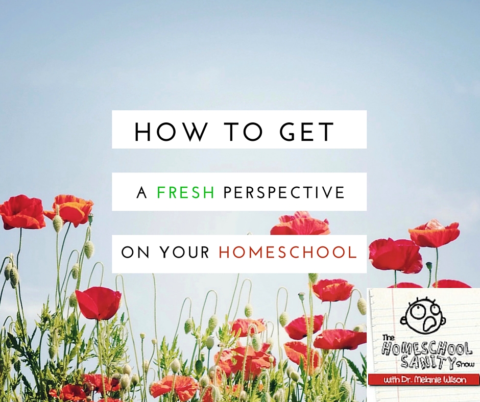 how to get a fresh perspective on your homeschool