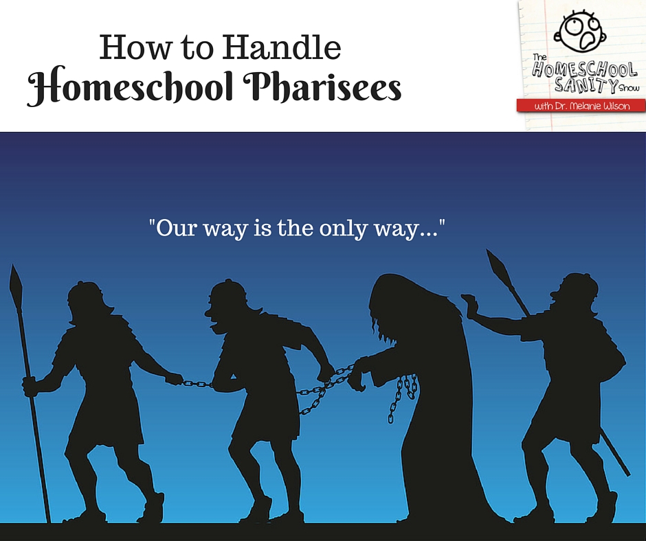 How to Handle Homeschool Pharisees: The Homeschool Sanity Show