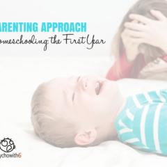 Parenting Approach: Homeschooling, the First Year