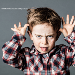How to Deal with a Troublemaking Child